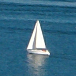 Sailing - Elizabeth Wrobel
