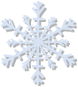 Snowflakes - Elizabeth Wrobel